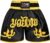 EVO Fitness Muay Thai Shorts MMA Kick Boxing Martial Arts Cage Fighting Training Gear UFC